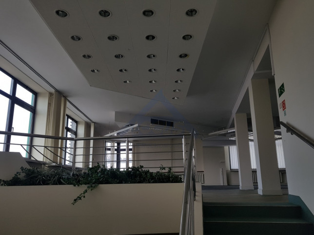 Lokal Wynajem Warszawa Ursynów 19